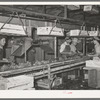 Packing radishes in crates. Elsa, Texas