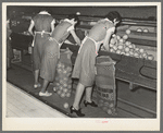 Packing grapefruit into sacks. This is common method of packing for relief distribution. Weslaco, Texas