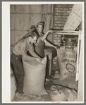 Filling and tying sacks of citrus pulp. Grapefruit juice canning plant, Weslaco, Texas