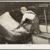 Shovelling shaved ice into conveyor system. Vegetable packing plant, Elsa, Texas
