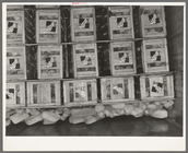 Index