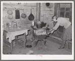 Home of share-cropper living near Merigold, Mississippi. Background photo, Sunflower Plantation