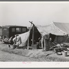 Camp of migrants. Weslaco, Texas