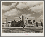 Packing warehouse. Pharr, Texas