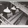 Inspecting and grading grapefruit. Packing plant, Weslaco, Texas