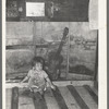 Child of migrant parents sitting on drop bed in trailer home. Weslaco, Texas