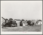 Migrant camp, Weslaco, Texas