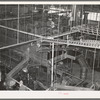 General view of grapefruit canning plant. Weslaco, Texas