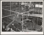 General view of grapefruit canning plant. Weslaco, Texas