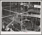 General view of grapefruit canning plant. Weslaco, Texas