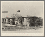 Type of Mexican housing, Alamo, Texas. Most of the workers in the citrus and vegetable fields live in town in houses like these