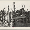 Detail of corral of Mexican farm owner. Hidalgo County, Texas