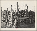 Detail of corral of Mexican farm owner. Hidalgo County, Texas