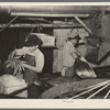 Packing carrots into boxes. Vegetable packing plant, Elsa, Texas