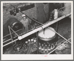 Canning machine. Grapefruit juice cannery, Weslaco, Texas