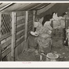 Interior of tent of white migrant family near Mercedes, Texas