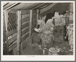 Interior of tent of white migrant family near Mercedes, Texas