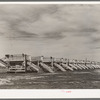 Battery of pea shellers near Mercedes, Texas