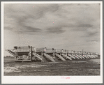 Battery of pea shellers near Mercedes, Texas