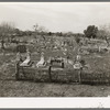 General view of Mexican cemetery. Raymondville, Texas