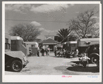 Trailer camp. McAllen, Texas