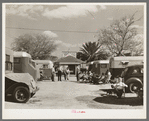 Trailer camp. McAllen, Texas