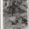 Mexican grave. Raymondville, Texas