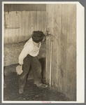 Mexican boy drinking out of water faucet. There were five of these faucets to supply water for about fifty Mexican families averaging five members each. They live in five units. Robstown, Texas