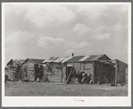 Housing in Mexican district. Robstown, Texas