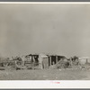 Outbuildings and housing in Mexican district. Robstown, Texas