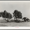 Wagons and lean-to for houses on a small Mexican farm near Edinburg, Texas