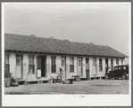 Mexican migrant housing. Edcouch, Texas