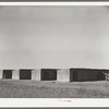 Four of the five units inhabited by Mexican workers. Robstown, Texas