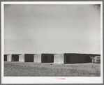 Four of the five units inhabited by Mexican workers. Robstown, Texas