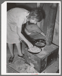 White migrant woman cooking cabbage in tent home. Edinburg, Texas