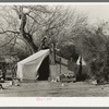 Camp of migrant workers near Harlingen, Texas