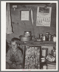 Child of migrant sitting by kitchen cabinet in tent home near Edinburg, Texas