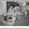 Mexican children sitting outside of corral before fire built in wash tub. Robstown, Texas