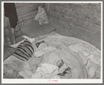 Bed in Mexican home. In practically all Mexican homes the beds consist of old blankets and quilts that are spread upon the bare floors. Crystal City, Texas
