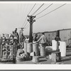 Unloading baskets of spinach onto platform where they are iced and packed into refrigerator cars to be shipped north. La Pryor, Texas