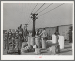 Unloading baskets of spinach onto platform where they are iced and packed into refrigerator cars to be shipped north. La Pryor, Texas