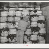 Packing spinach in refrigerator car. La Pryor, Texas