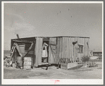 Home of fisherman squatter on shores of Nueces Bay. Corpus Christi, Texas