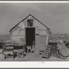 Home of squatter on Nueces Bay. Corpus Christi, Texas