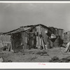 "Rancho Chico," home of Mexican day laborer. Near Crystal City, Texas