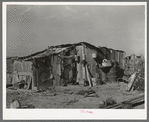 "Rancho Chico," home of Mexican day laborer. Near Crystal City, Texas