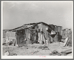 "Rancho Chico," home of Mexican day laborer. Near Crystal City, Texas