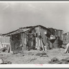 "Rancho Chico," home of Mexican day laborer. Near Crystal City, Texas