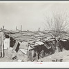 Chicken house made of flattened-out automobile parts. Crystal City, Texas
