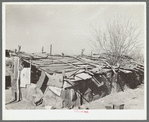 Chicken house made of flattened-out automobile parts. Crystal City, Texas